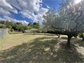 Image du bien APR730754